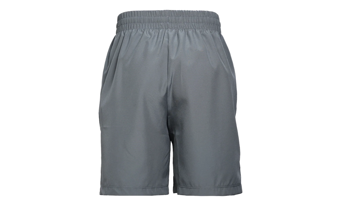 Multi Dri-FIT Training Shorts GS "Smoke Grey / White" DX5382 084