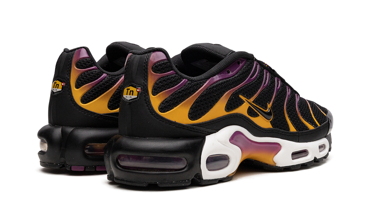 Air Max Plus DX2663 001