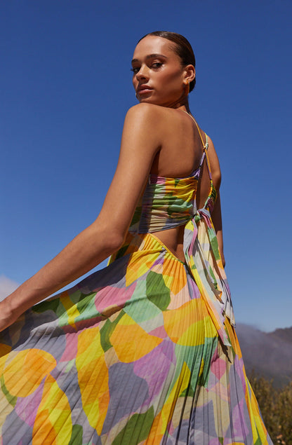 Lisa – Pleated maxi dress with floral print