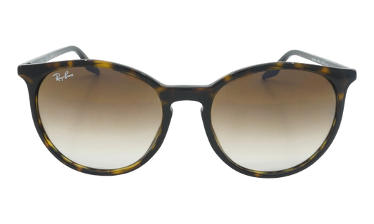 Square Sunglasses "Havana" RB2204F-902-51_54