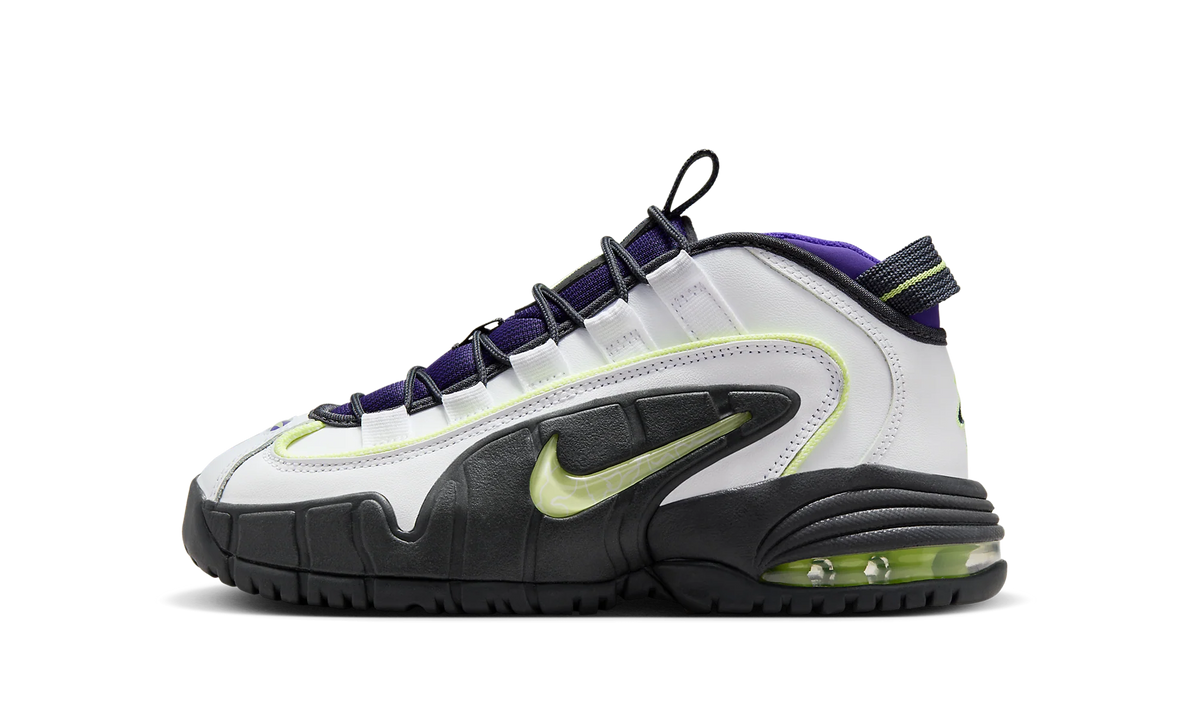 Air Max Penny GS "Penny Story" FZ3546 100