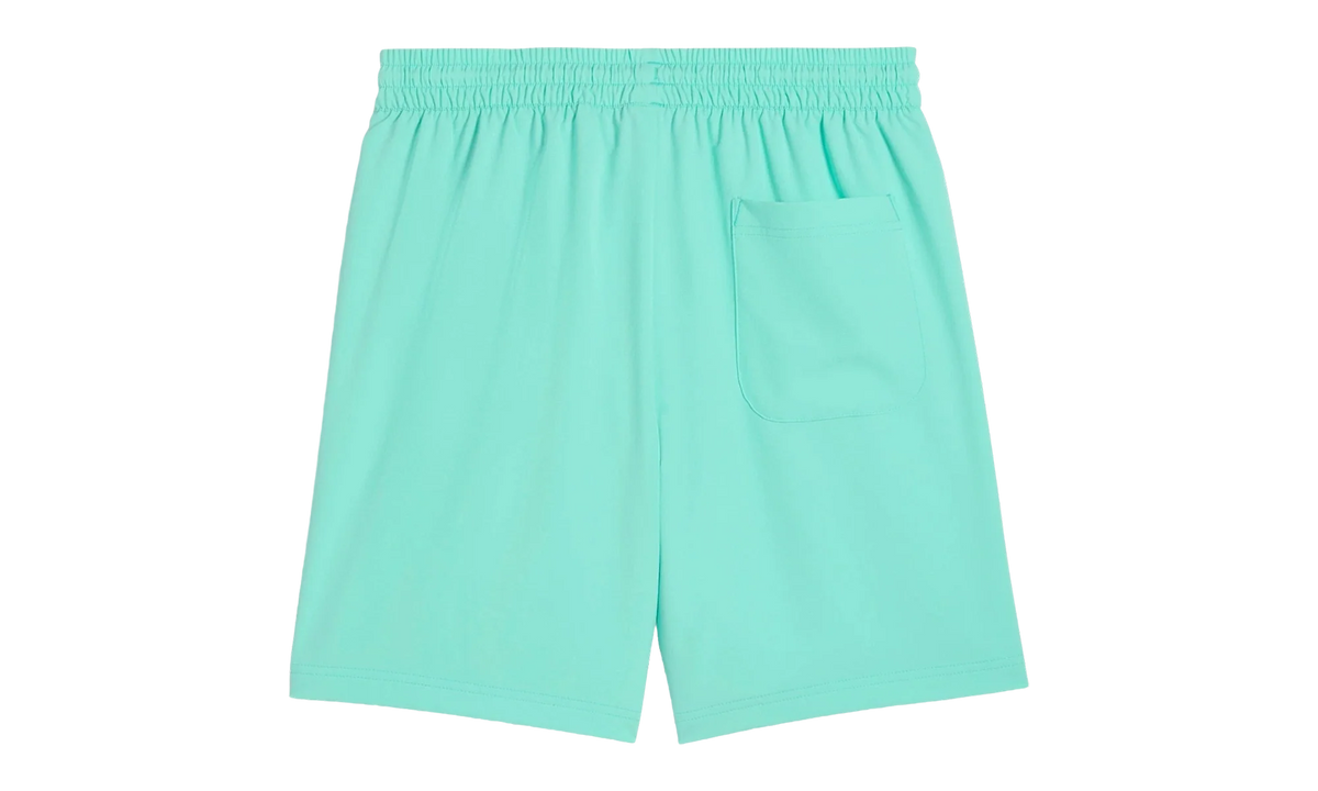 BMW MOTORSPORT ESS+ WOVEN SHORTS 7 "Green" 630631 07