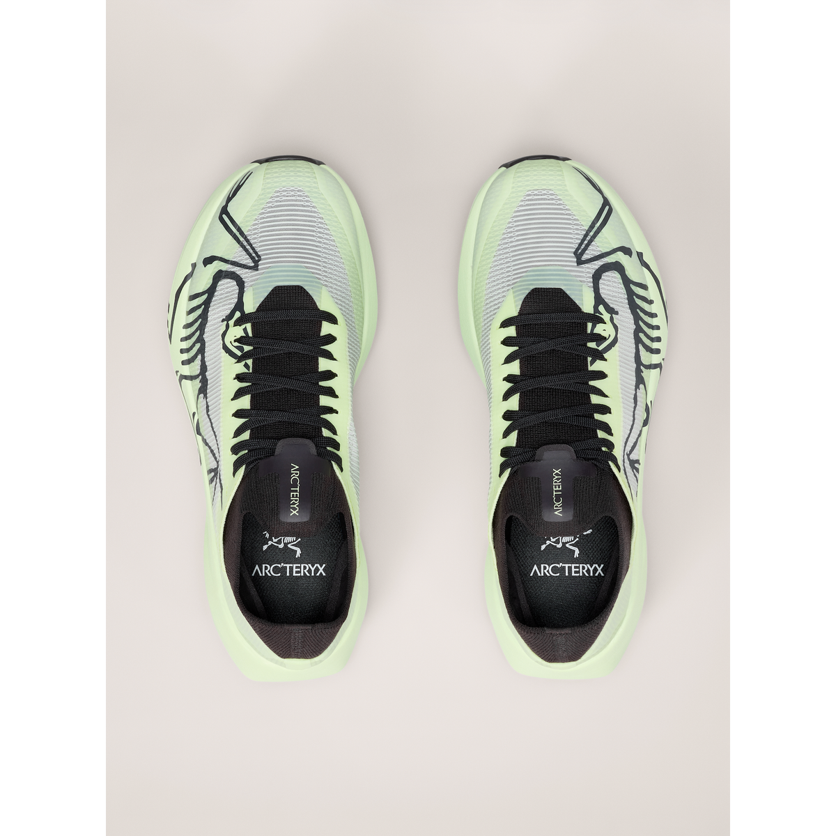 Women's Sylan 2 Shoes