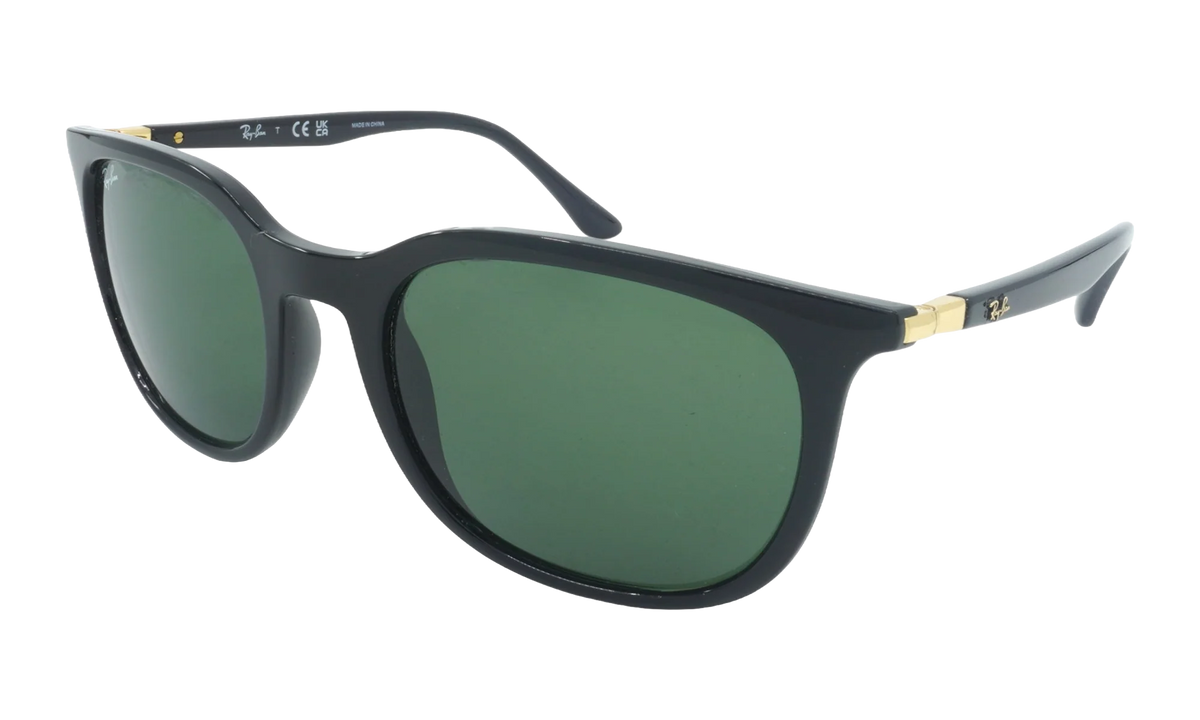Pillow Sunglasses "Black" RB4386-601-31_54