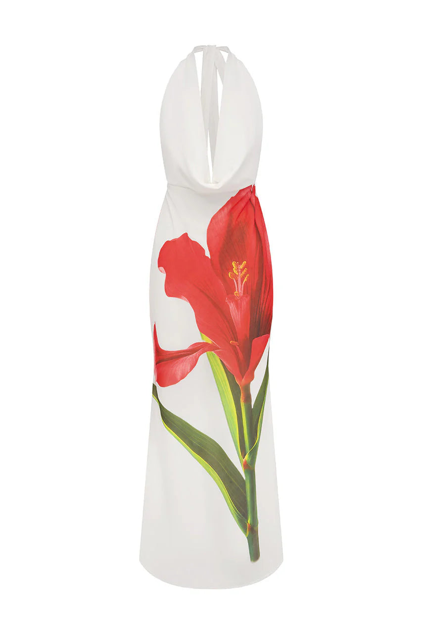 Jasmina Maxi Dress - Red Lily